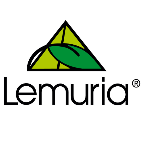 Lemint SRL Lemint SRL