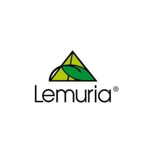 Logo 23