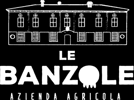 Logo 25