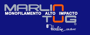 Logo 5